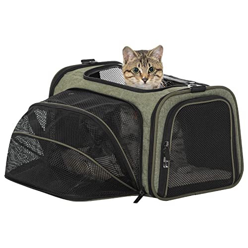 amazon.ae Best Sellers The best items in Cat SoftSided Travel
