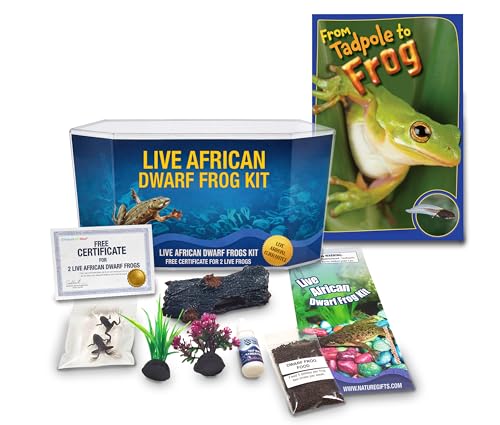 African Dwarf Frog Starter Kit- Includes Certificate for 2 Live Frogs- All-in-One Bundle with Book...