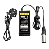 ARyee 28V 24V 2A Mobility Scooter Charger, 3 Pin XLR Connector Battery Charger for 24V Lead Acid Battery Electric Scooter Electric Bike Electric Wheelchair Hoverbord