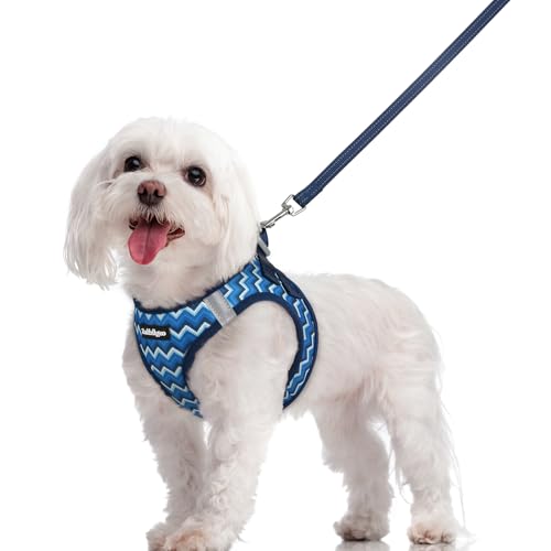 Image of rabbitgoo Dog Harness Medium Sized and Leash Set, Step-in Puppy Pet Vest