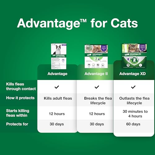 Advantage Topical Cat Flea Treatment and Prevention for Large Cats Over 9 lbs. | Apply Flea Drops Monthly | 2 Treatments - Image 5