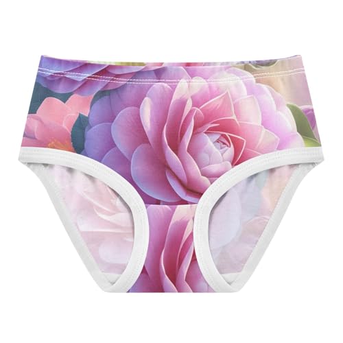 Funny Girls Underwear Toddler 2t Cotton Little Girl Panties Dreamy Pink Floral Briefs Undies Kids