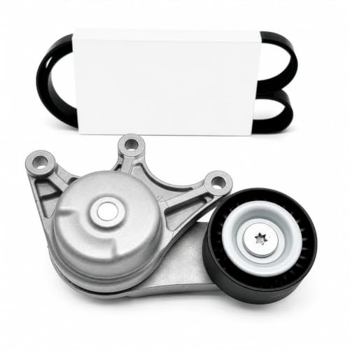 Tendeur de courroie anti-sifflement pour moteur BMW L4 2.0L GAS