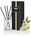 NEST Fragrances Liquidless Diffuser- Bamboo - NEST95BM