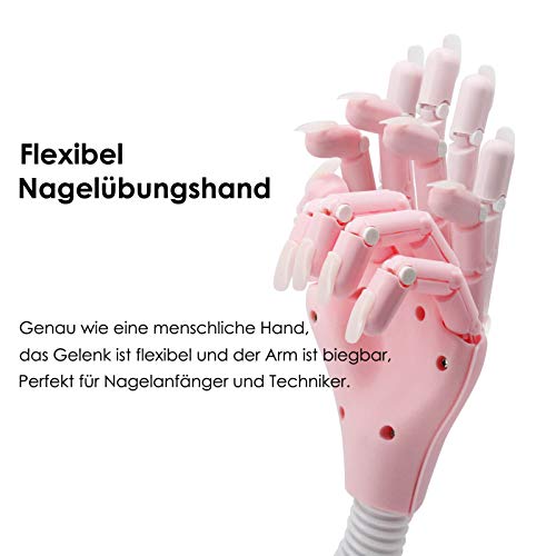 Flexibel Nagel übungshand mit 400pcs Ersatznägel, Professionelles übungsmodell Nägel Übungshände Training Hand… – Bild 3