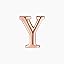 Y