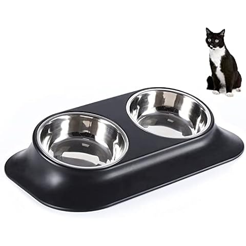 Raised Cat Bowl Pet Bowl,Stainless Steel Elevated Small Dog Bowls,15°Tilted Whisker Reliefs Fatigue Free Stress Anti Vomiting Cat Food Water Bowls,Non Slip Cat Feeding Bowls(Double Bowl) Cover