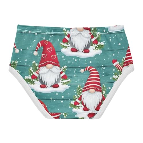 Girls Underwear Toddler 2t Cotton Panties Little Girl Colorful Briefs Girls Undies Cute Gnomes St2