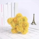 Uso: estas flores reales se pueden usar para hacer ramos de boda, decoraciones, bolas de besos, ramos, flores para pasteles y se pueden usar para bodas, fiestas, despedidas de soltera, duchas, familias o cualquier otra decoración / arreglo floral.