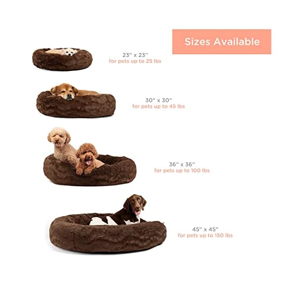 Best Friends by Sheri The Original Calming Donut Cat and Dog Bed in Lux Fur Dark Chocolate Medium 30×30 Best Friends by Sheri The Original Calming Donut Cat and Dog Bed in Lux Fur Dark Chocolate Medium 30×30