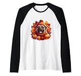 Photo Gallery autunno autunno bullmastifs cane proprietario amante zucca vintage mamma maglia con maniche raglan Photo Gallery autunno autunno bullmastifs cane proprietario amante zucca vintage mamma maglia con maniche raglan