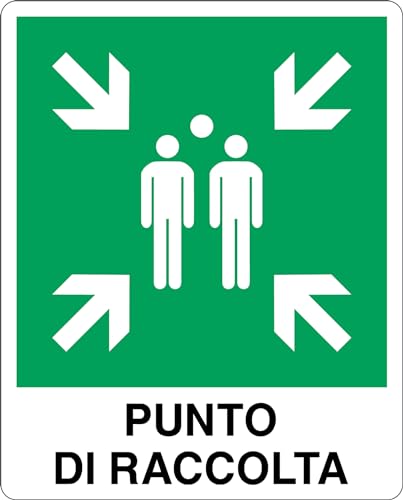GLOBAL CARTELLO SEGNALETICO - PUNTO DI RACCOLTA - Adesivo Extra Resistente, Pannello in Forex, Pannello In Alluminio (10x15 cm, Adesivo)