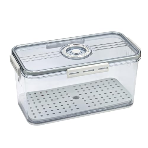 Contenedor de almacenamiento de pan DBOO transparente gris con esfera 2