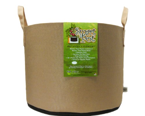 Best Fabric Grow Bag