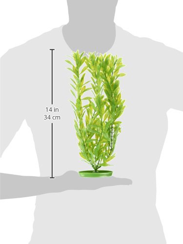 Marina Aquascaper Fish Tank Decorations, Hygrophila Plant, 15-Inch #TOP22
