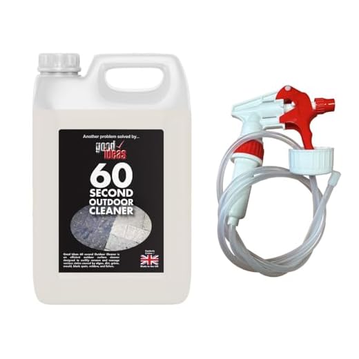 Easylife Patio Cleaner with Spray Attachment