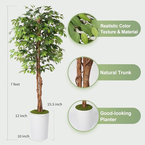 7Ft Artificial Ficus Tree in Large Tall Planter - Faux Indoor Plant with Realistic Wood Trunk - Large Tall Fake Plant for Home, Office, Living Room, Patio Decoration - Image 4