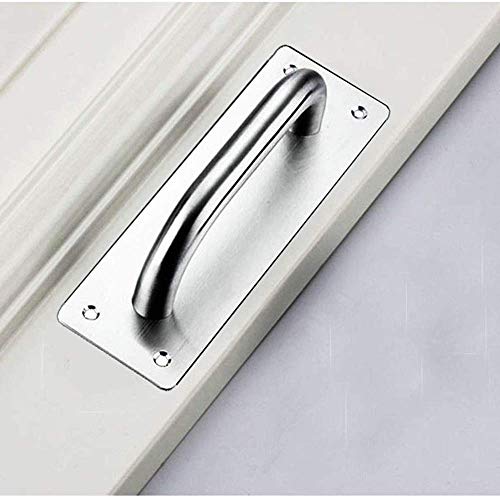 1 Stück Schiebetürgriff Heavy Duty Edelstahl Pull Push Türgriffe mit Rückenplatte für Torgriff WC Tür Zugplatte Holz Schrank Griff Hardware (200 x 65 mm)