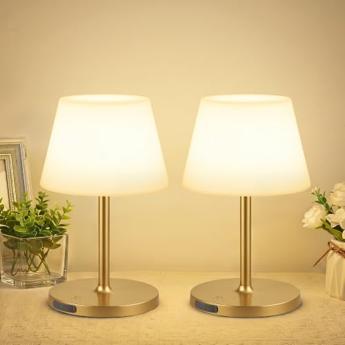 Image of 2 Pack Shower Lamp Waterproof, 6000mAh & 3 Color Temps and Stepless Dimming