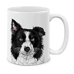 Cute Black and White Border Collie Dog