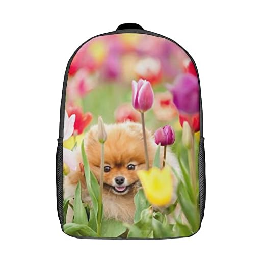 BEFASYY Mochila escolar para niños Pomerania Mochila de moda para adolescentes Mochilas para niños niñas niños mochilas de moda 17 pulgadas Mochila impresa en 3D