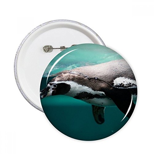 Badge pingouin bleu ocean image ronde pins decoration pour vetements en lot de 5, XL