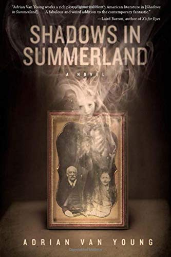 Buy Shadows in Summerland — BookShops.in