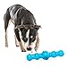 GURU Pet: Shaker Stick - Large - Blue Dog Toy, Treat Dispensing, 11.25