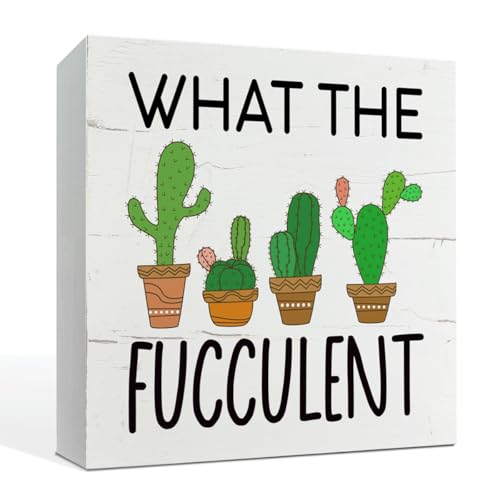 What the Fucculent Sign Plant Decor Box Sign Tabletop Decor Cactus Decor Plant Lover Home Decor Greenery Office Decor Office Desk Sign Farmhouse Decor for Shelf White Wooden Box Sign