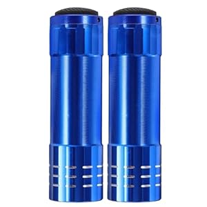 Generisch Taschenlampen-Form Geheimversteck Set, 2 Einheiten