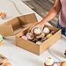 Smirly Cupcake Boxes 12 Count: Disposable Cupcake Containers 12 Count, Cupcake Holder with Lid, Cupcake Carrier, Bakery Boxes with Window, Pastry Boxes, Brown Cookie Boxes with Window Long Treat Boxes