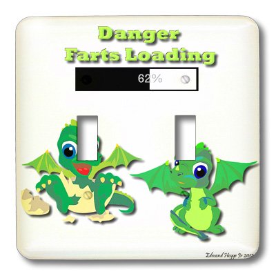 Dragon Farts interrupteur à bascule double 3dRose lsp_55523_2 plaque murale graphique