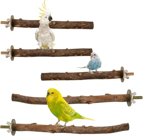 Natürliche Sitzstangen für Vögel, Vogelzubehör (Holzfarbe, 5 Stück)