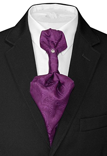 Image of Vesuvio Napoli PreTied ASCOT Solid PAISLEY Color Cravat Men's Neck Tie 21 Colors