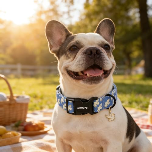 Image of ARING PET Peace Dove Dog Collar, Cute Blue White Bird of Peace Pigeon Pet Collars for Puppy Small Medium Large Boy Girl Dogs-S, for Daily Outdoor Walking Training