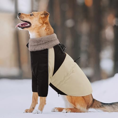 CITÉTOILE Hundemantel Winter, Wasserdicht & Winddicht Mit Geschirr für Kleine, Mittlere und Große Hunde, Reflektierende Hundejacke Mit Bauchschutz