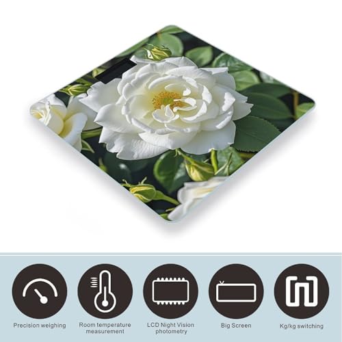 Báscula digital White Rose para peso corporal con vidrio templado miniatura 3