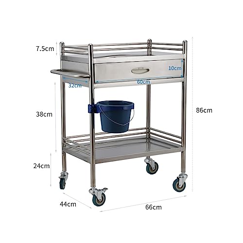 Carro médico de acero inoxidable – Carrito de laboratorio rodante de 2 niveles, capacidad de carga de 100 kg, duradero y versátil para clínicas, hospitales, equipos de fácil movilidad