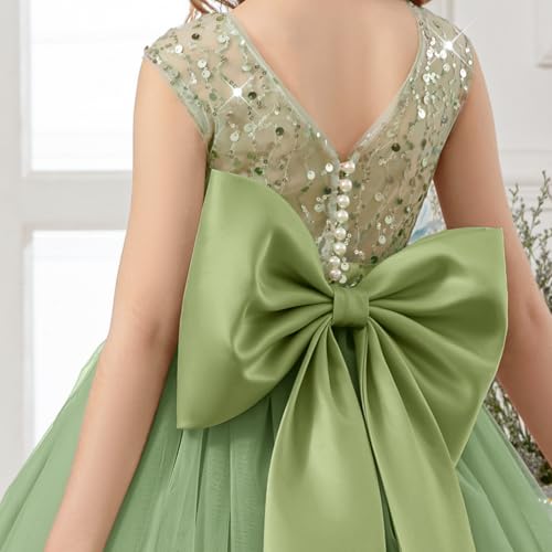 Flower Girl Dress Fancy Elegant Tulle Wedding Party Birthday Princess Bridesmaid Communion Pageant Gown Maxi4