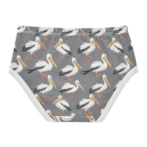 Girls Underwear Soft Cotton Pelicans Kids Panties in Sizes 2/3t, 4t, 5t, 6 and 82