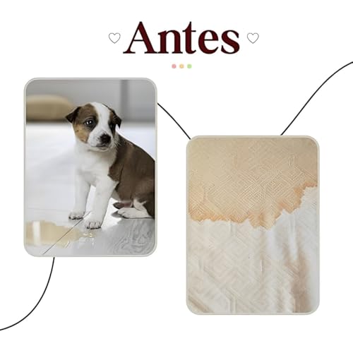 Kit Educador Sanitário Completo Para Cachorro 1un Spray Xixi Pode 20ml Spray Xixi Não Pode 500ml e 1