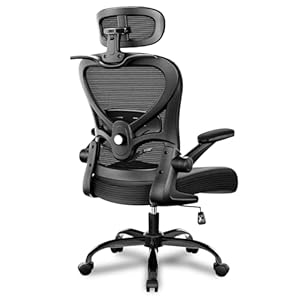 Ergonomic Office Chair with Headrest 3D, Mesh Office Desk Chair with Adjustable Lumbar Support, Computer Chair with Flip up Armrests, 350LBS Capacity – Design for Home/Offices – Black