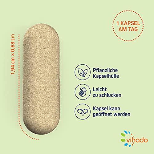 Ginkgo Vihado Ginkgo Biloba Kapseln, hochdosiert für mentale Unterstützung