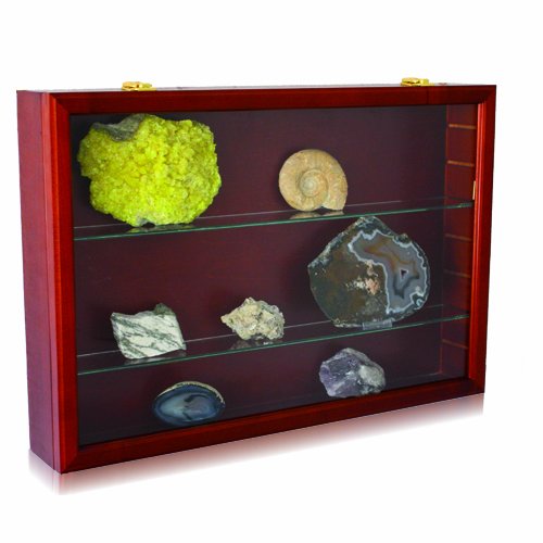 Preisvergleich Produktbild Sammelvitrine Holz mahagony: Format ca. 62 x 42 x 10 cm