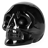 Multiuso: le statuette di cristallo a forma di teschio curativo non sono adatte solo per la medicina scientifica, ma anche per la famiglia che aiutano i bambini a conoscere il cranio, a identificare la nostra struttura o come oggetti di scena di Halloween, decorazioni per bar, decorazioni per la casa, decorazioni per la casa infestata, trucchi spoofing.