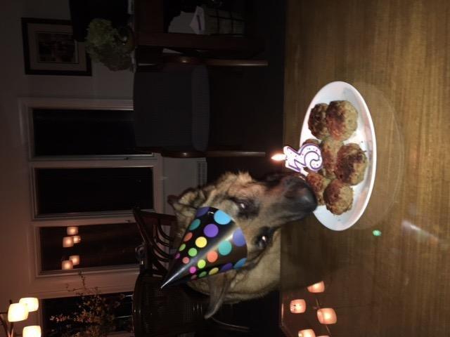 He loved them! All healthy for Canine & Human consumption