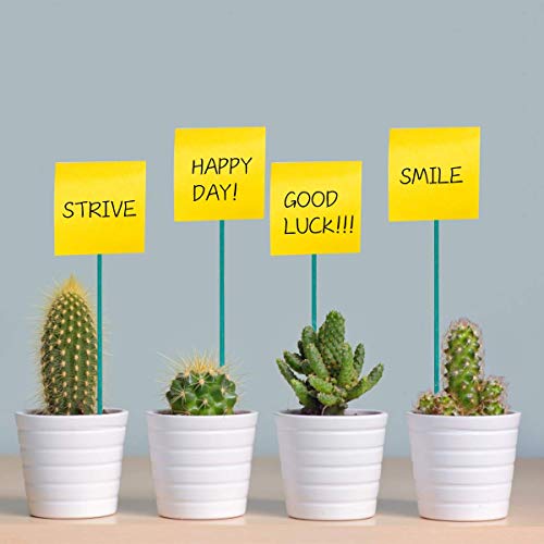 Qefuna 30Pcs 16 Inch Garden Stakes Green Bamboo Sticks Decorative Garden Wood Stakes For Plants, Wooden Plant Support Sticks, Small Stakes For Garden With Garden Ties And Nylon Plant Tie Strap #TOP5