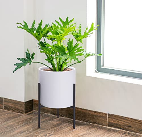 Macetas, Home Imagen adicional