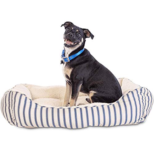 harmony grey nester orthopedic dog bed