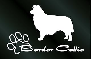 Studio Dom Bit - Adhesivo decorativo para perro, color blanco